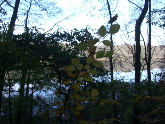 CTF-Boetzsee 057
